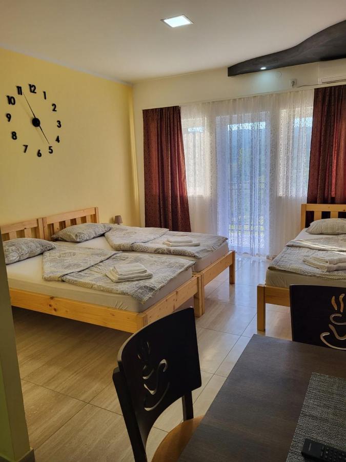 Ra Apartmani Vrdnik Room photo
